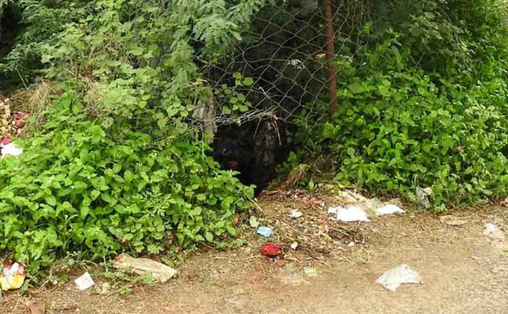 dangerous borewells